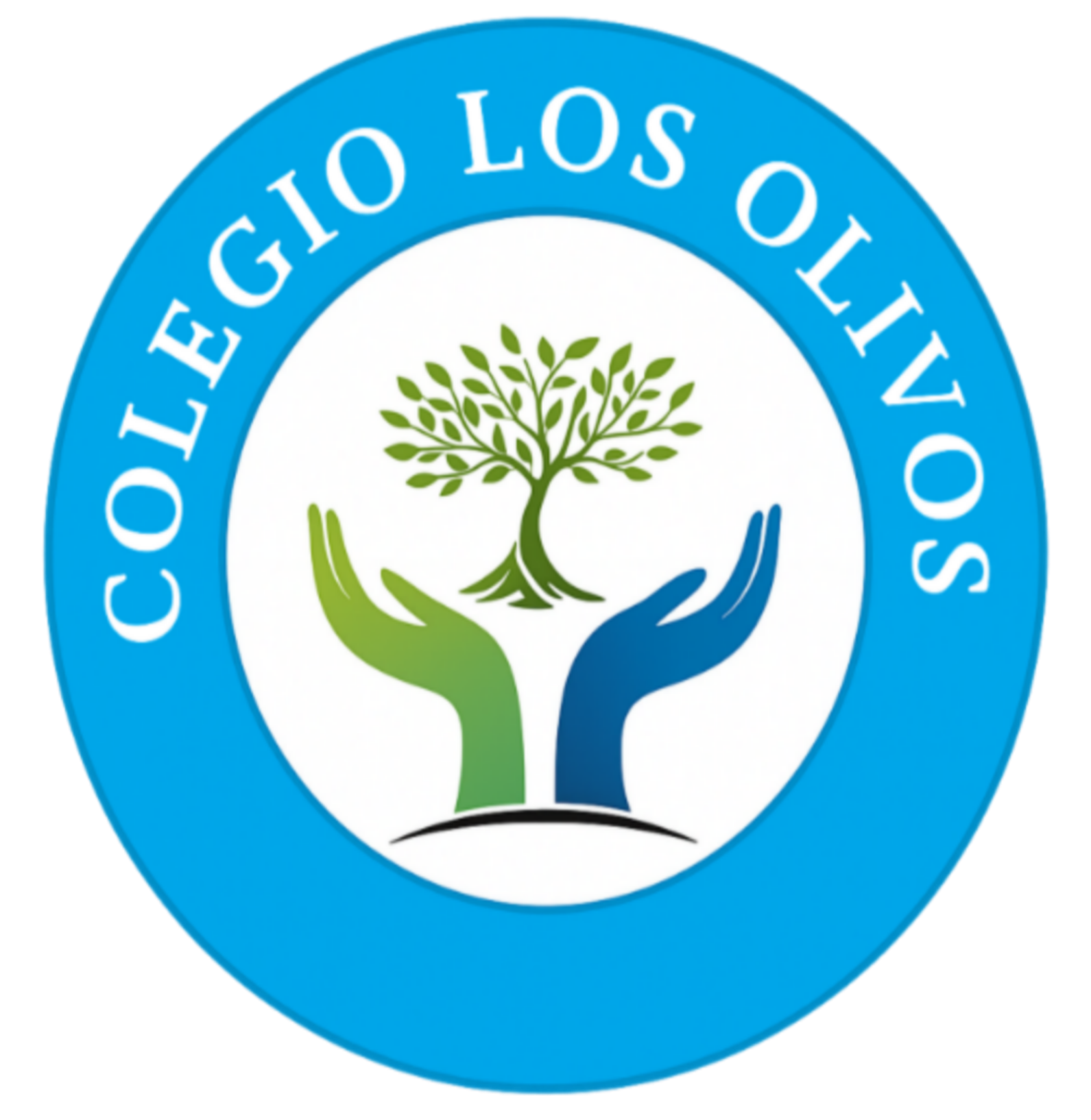 Plataforma Colegio Los Olivos